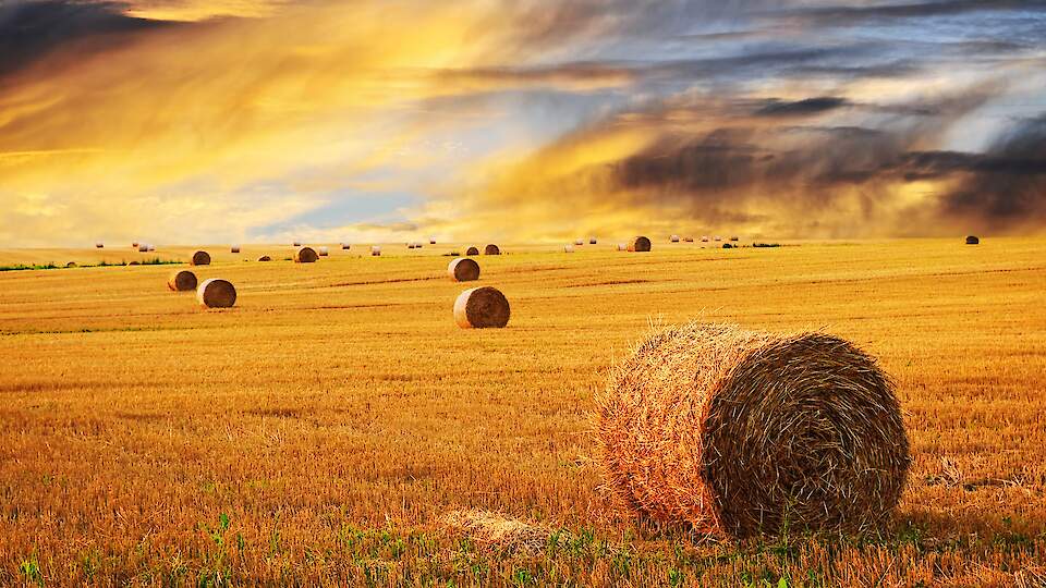 Машиностроительный завод "Радвилишкис