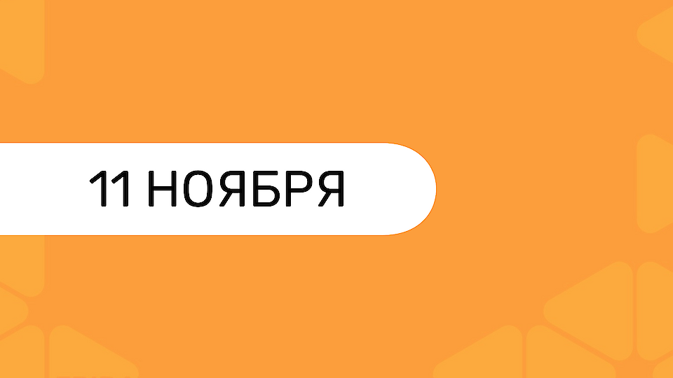 Конференция 11.ноября