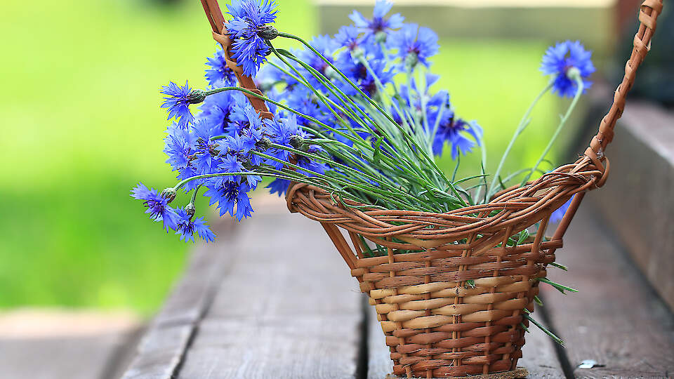 Christelle Cosmetics │ Naturlig kosmetika