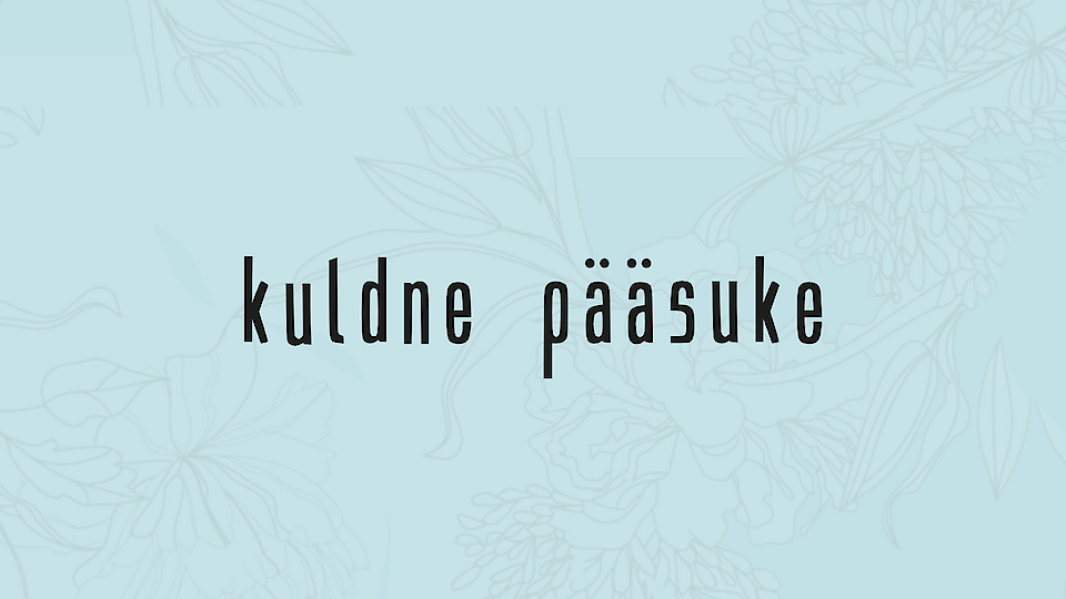 Чемпионат Эстонии по парикмахерскому искусству