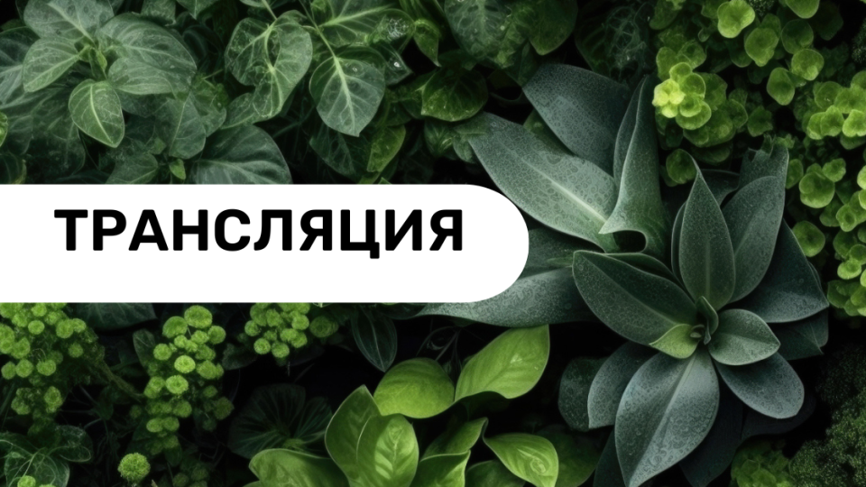 Подведение итогов семинара