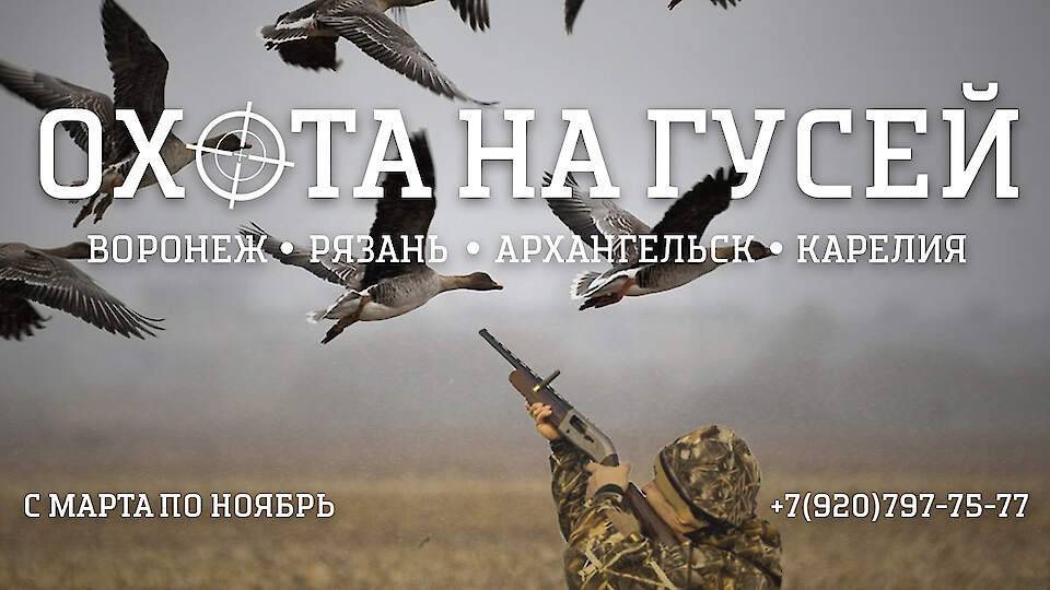 охота на гусей