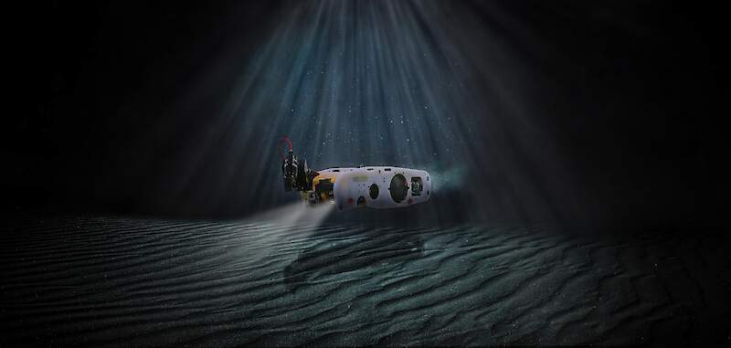 Sea Wasp - Safety within reach