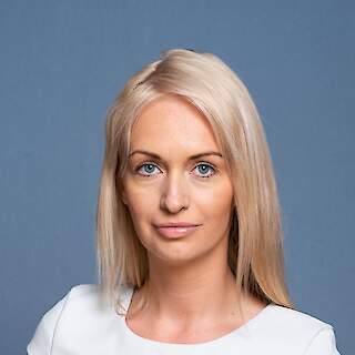 Tööinspektsiooni peadirektor