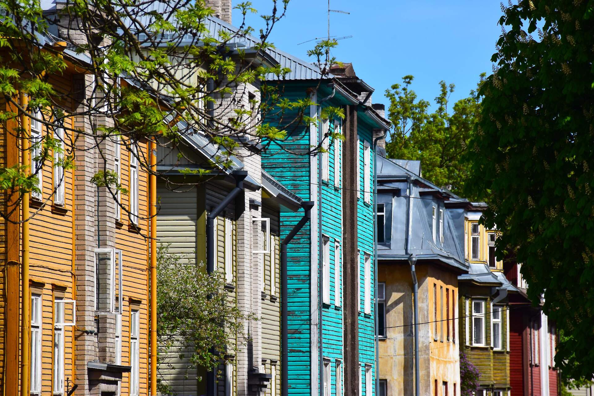 The city of colourful contrasts Despite not being a metropolis, Tallinn is a city of colorful contrasts, offering a plethora of unique experiences ranging from small pop-up exhibitions to grand&nbsp;song festivals&nbsp;with choirs consisting of tens of thousands of performers. Moreover, the different districts of Tallinn are beautifully distinct, each in their own unique way. Thanks to this, taking a stroll through different Talllinn's districts can make you feel as if you've travelled to an entirely new city. For instance, situated next to the medieval Old Town is the&nbsp;Kalamaja&nbsp;district that was once a home to fishermen and factory workers. Nowadays, the area is filled with young creatives, innovative pop-up shops and businesses, and a selection of&nbsp;caf&eacute;s and bars for you to have a seat and take in the bohemian charm.&nbsp;Onwards, you may find yourself in the former industrial district of&nbsp;Telliskivi, which has now become a hub for curious and crafty minds. And if you're looking to discover modern Estonian design while having a taste of our culture, then the&nbsp;Noblessner&nbsp;Port City&nbsp;or the&nbsp;Rotermann Quarter&nbsp;may be the right options for you! On the other side of Tallinn University lies the Baroque-style&nbsp;Kadriorg Palace&nbsp;and its&nbsp;surrounding park&nbsp;that was commissioned by the czar Peter the Great in the 18th century. The park attracts guests with its luscious greenery, intimate&nbsp;caf&eacute;s, and grand art museums guaranteed to offer any visitor an unforgettable experience. However, while Kadriorg shines with its historical buildings, the neighbouring district of&nbsp;Lasnam&auml;e&nbsp;is primarily known for its many examples of Soviet-style residential buildings. Lastly, while you're in Tallinn, don't forget to visit the seaside districts of&nbsp;Pirita&nbsp;and&nbsp;Rocca al Mare&nbsp;to enjoy long walks on the beach.&nbsp; Further diversity is brought by Estonia's four distinct seasons, with each season revealing a different side of Tallinn. In the Spring, you may enjoy bird-watching in the&nbsp;N&otilde;mme&nbsp;district, while in the Summer, our white nights prove to be a perfect setting for a romantic stroll on the beach. In the Autumn, you're welcome to take a colourful walk in the Kadriorg Park, and the snowy Winter nights are a delightful opportunity to visit the&nbsp;world-famous&nbsp;Tallinn Christmas Market&nbsp;in the Old Town.