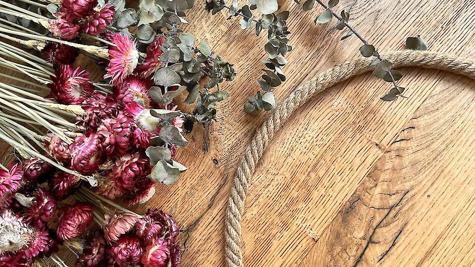 Lizka Stuudio | Sisustus