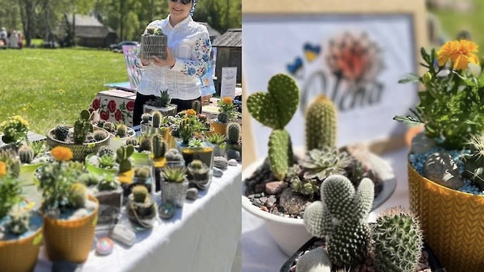 OLENA FITODESIGN STUDIO