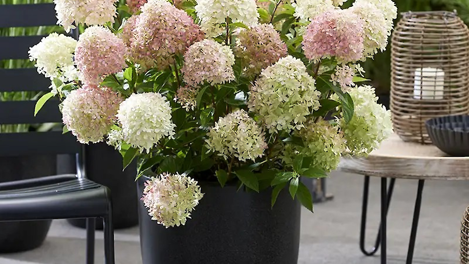 Different types of container