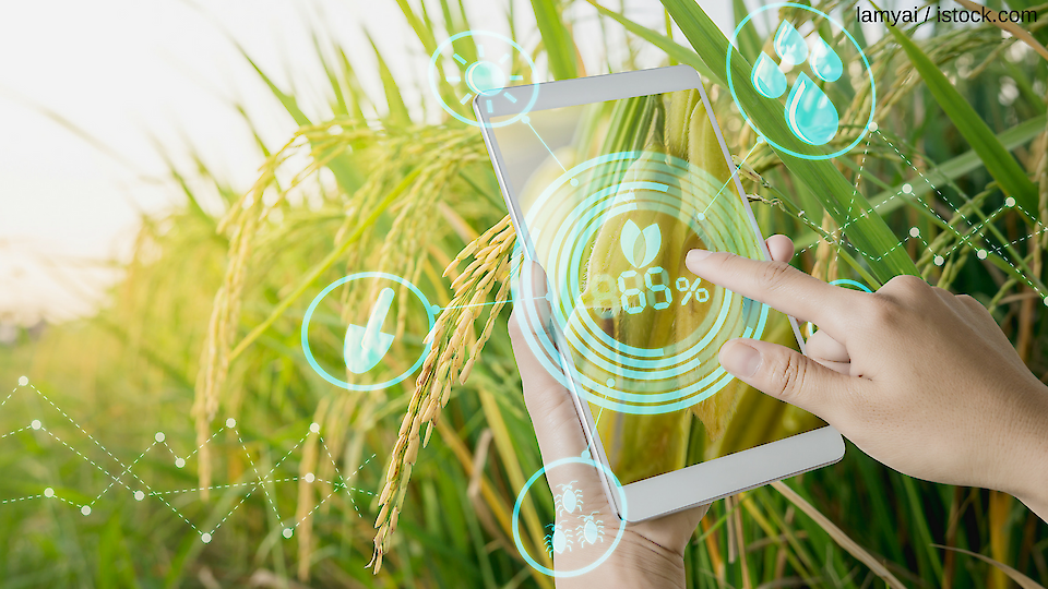 Crop suitability map application