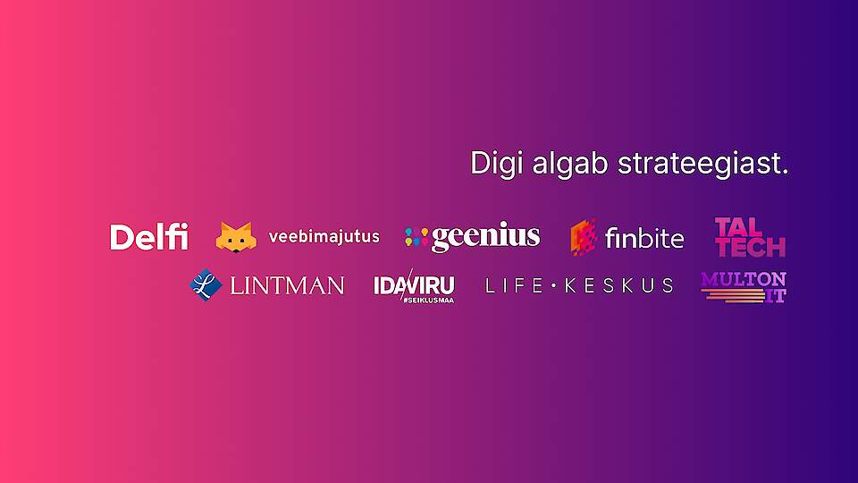 Digistrateeg