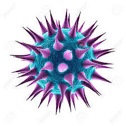 Antimicrobial resistance (AMR)