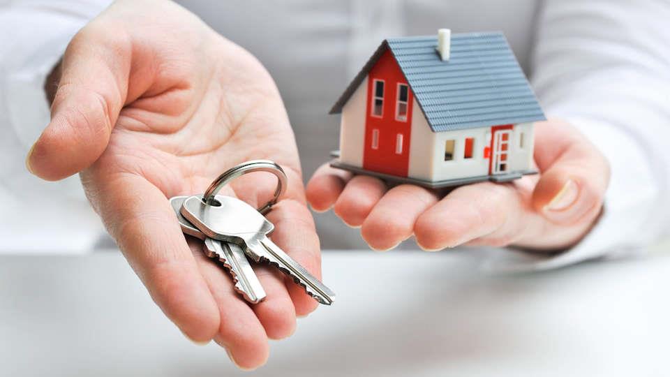 1Partner Kinnisvara Real Estate