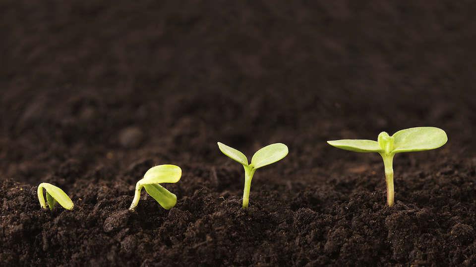 Ajakiri Kodu & Aed messihinnaga!