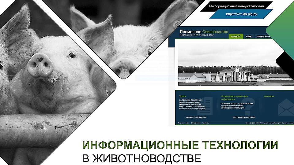 Republican Unitary Enterprise RESEARCH AND PRACTICAL CENTER OF THE NAS OF BELARUS FOR LIVESTOCK BREEDING
