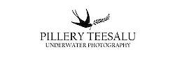 Pillery Teesalu Allveefotograafia