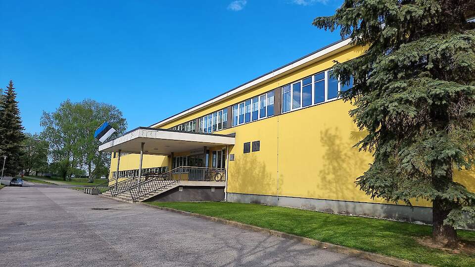 Kreutzwaldi School