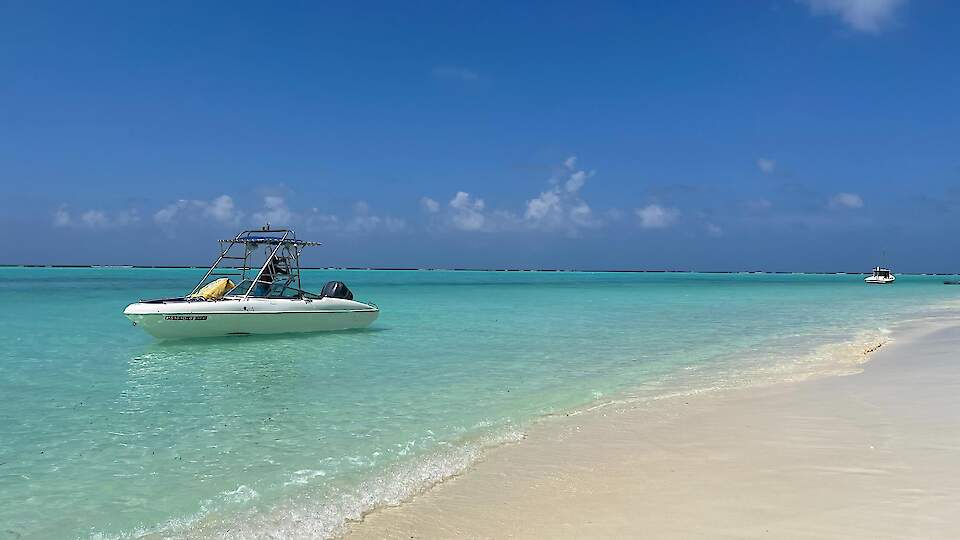 Shoreline Grand, Thoddoo