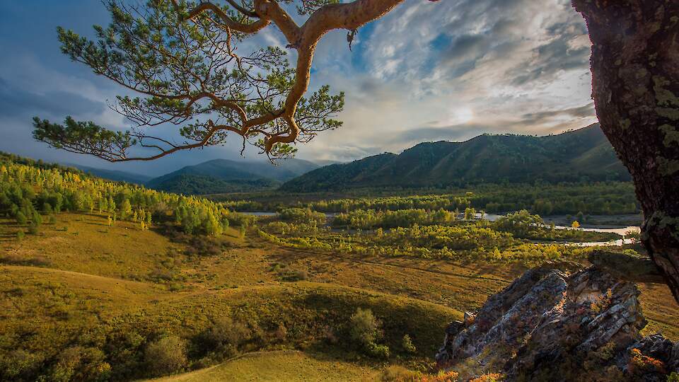 Altai Region Tourist Center