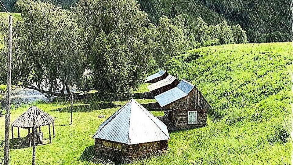 Big Altai, Tour Operator