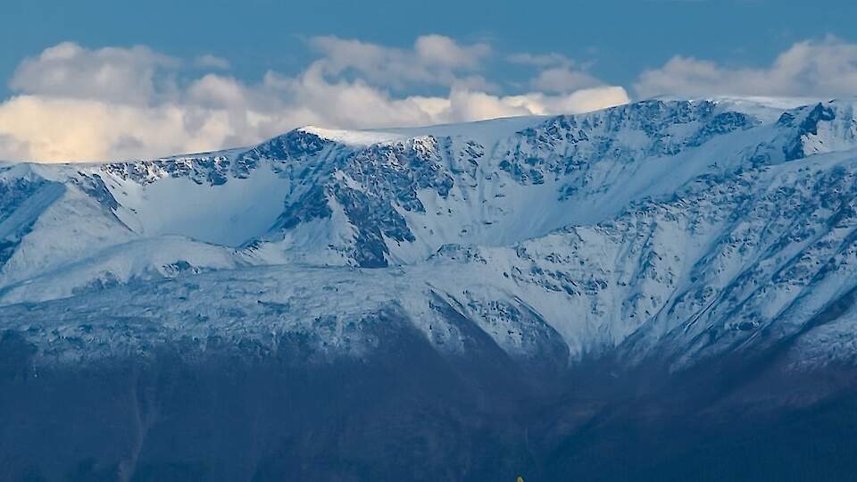 Altaysibtur, Tour Operator
