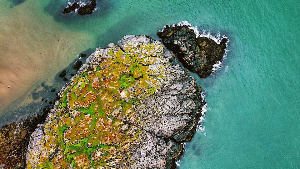 Atlantic Salmon Reserve, Ltd