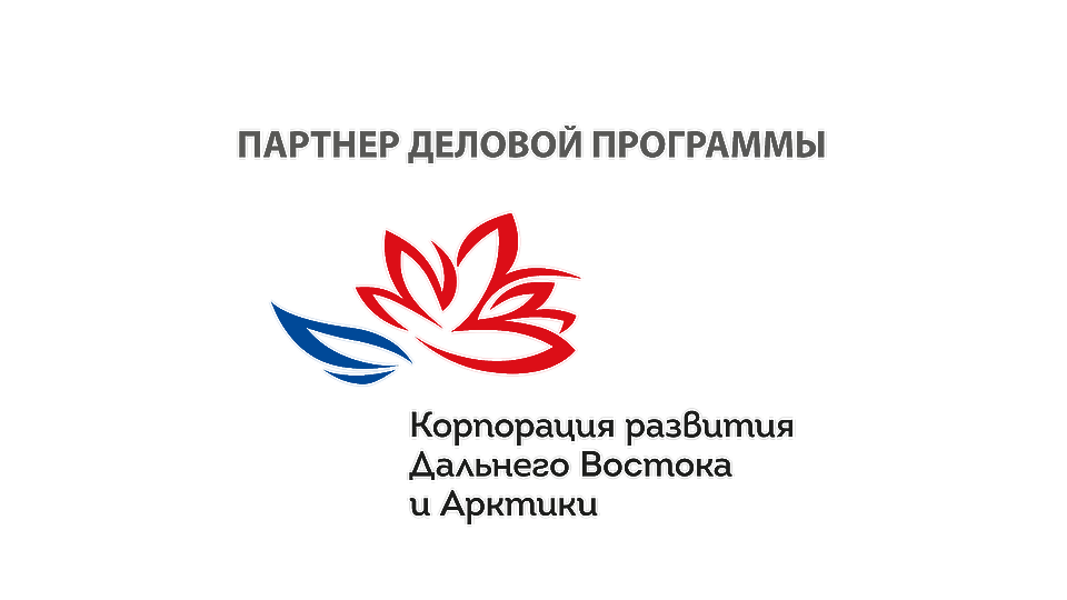 Far East and Arctic Development Corporation, JSC