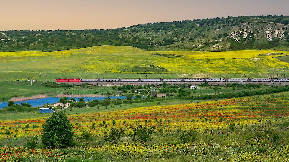 Grand Service Express