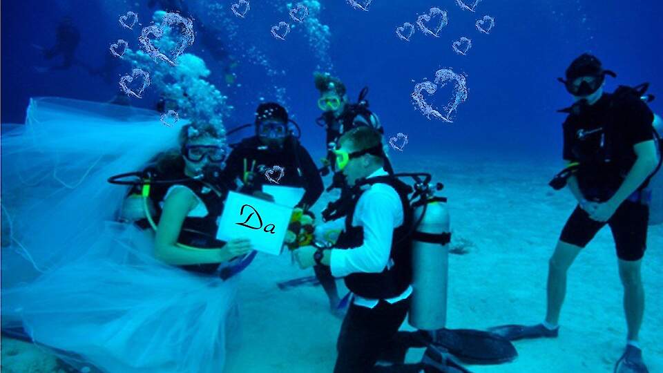 Temir Dive Resort