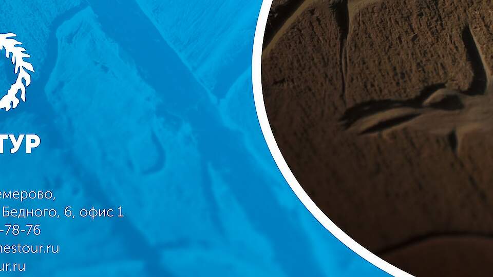 Tour operator "Ines tour